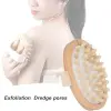 Head Massage Brush