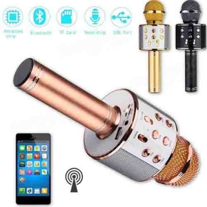 Wireless Mini Portable WS-858 Karaoke Microphone Bluetooth USB Speaker Outdoor