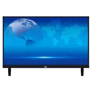 CG 24 Inch LED TV